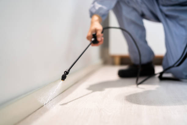 Professional exterminator conducting IPM assessment in Rainier